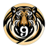 vworld live casino tigernine tips